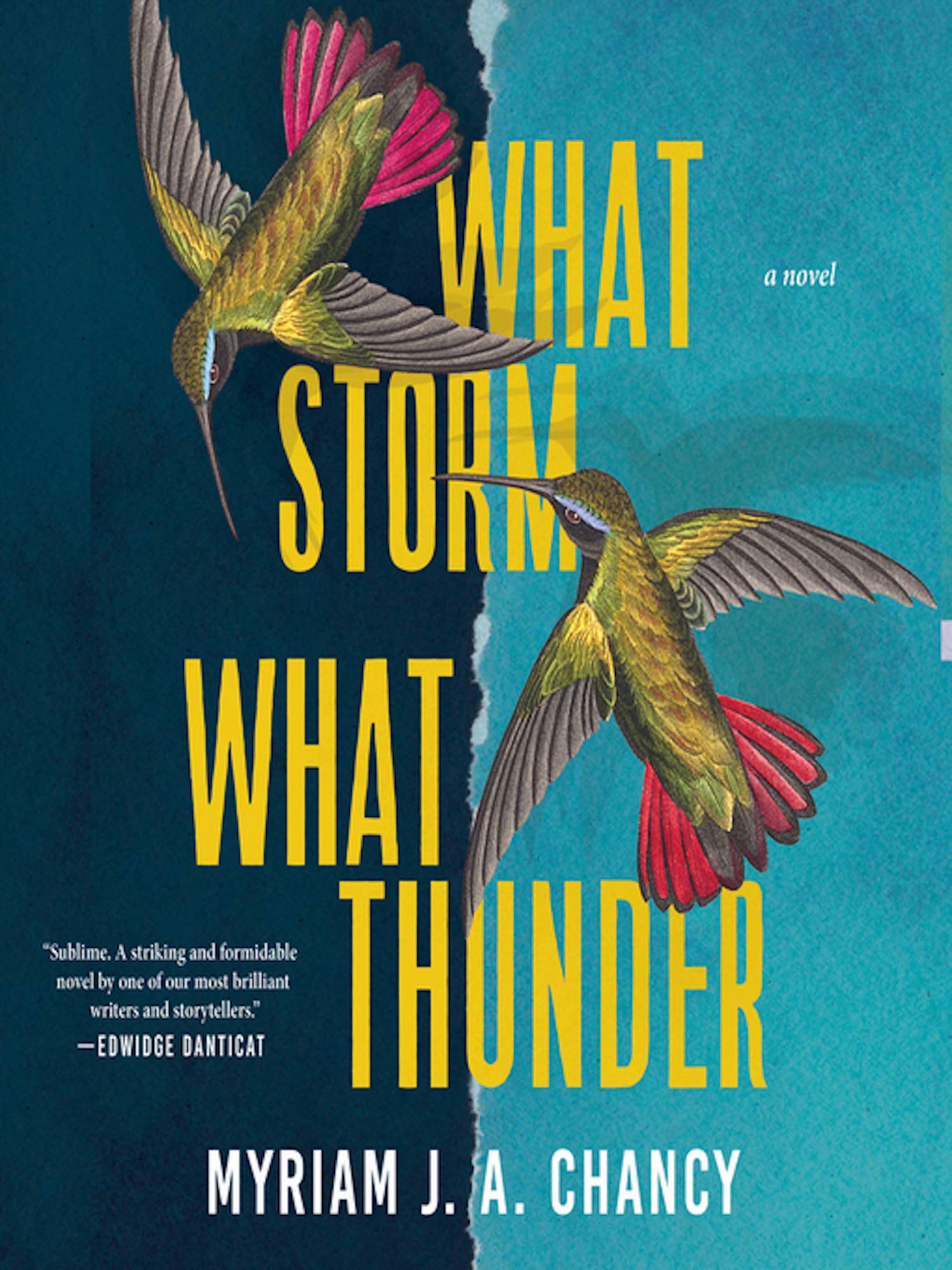 The Ending of What Storm, What Thunder by Myriam J. A. Chancy